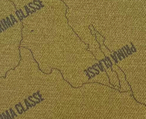 P SPUN TWILL PRINT